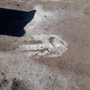 Meet your Posher, Erika